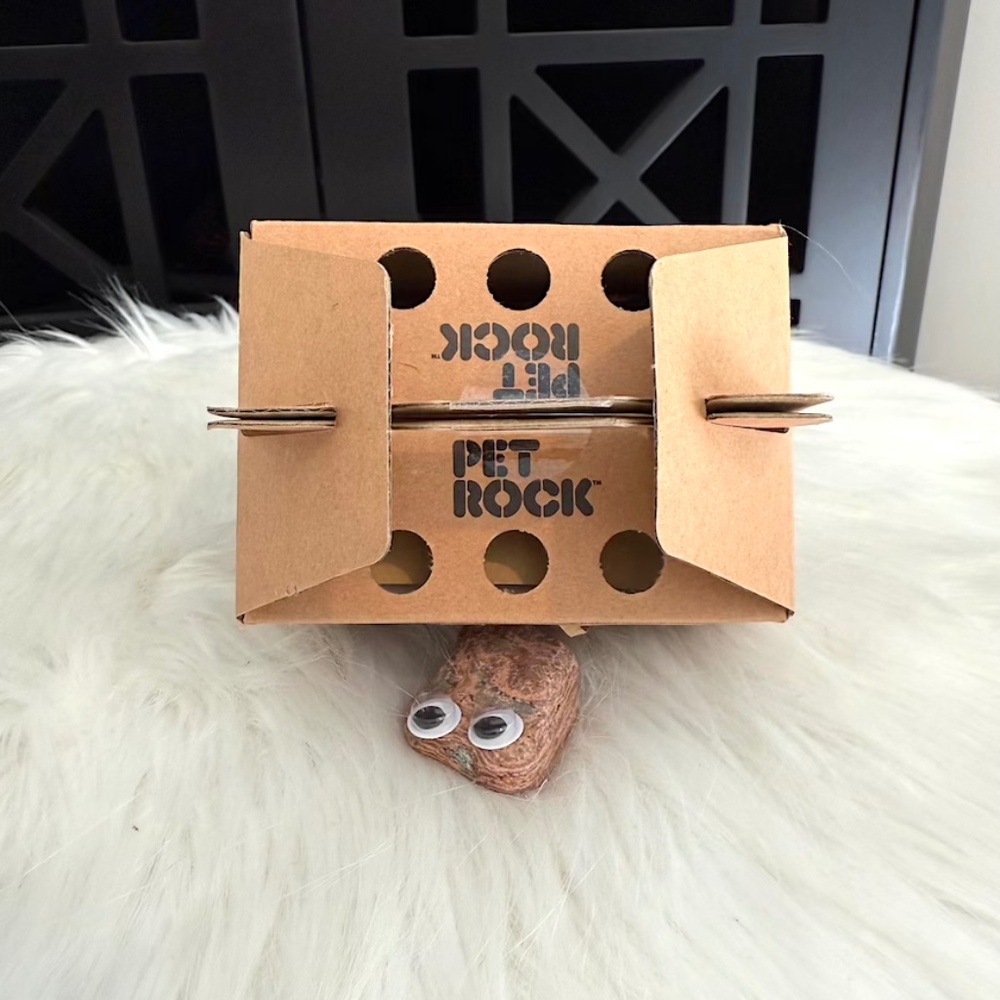 Classic Original Pet Rock (NWT/NIB) - Picture 7 of 7